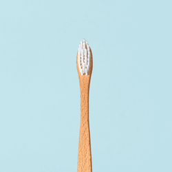 Brosse à dents en bois - Adulte SB