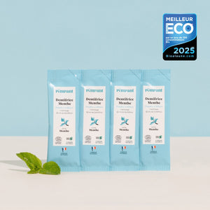 Recharges Dentifrice Menthe (x4)