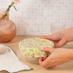 Photo du bee wrap sur un recipient