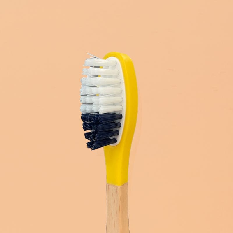Brosse à dents à tête rechargeable (poils medium)