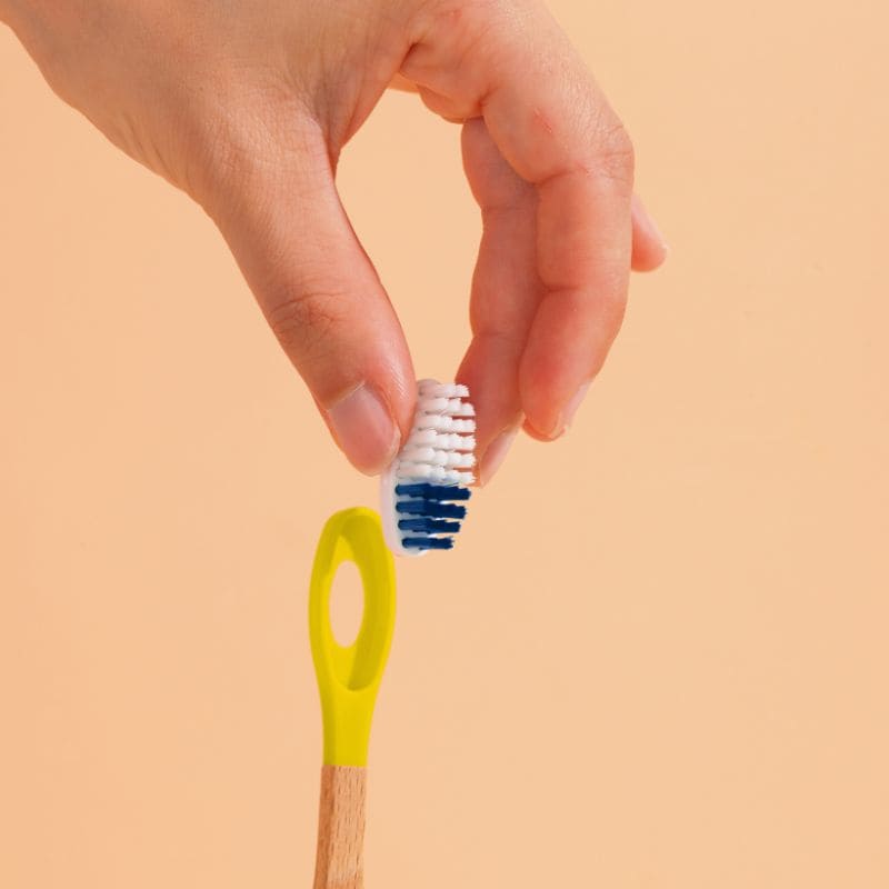 Brosse à dents à tête rechargeable (poils medium)