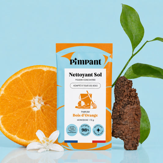 Nettoyant Sol (x1)