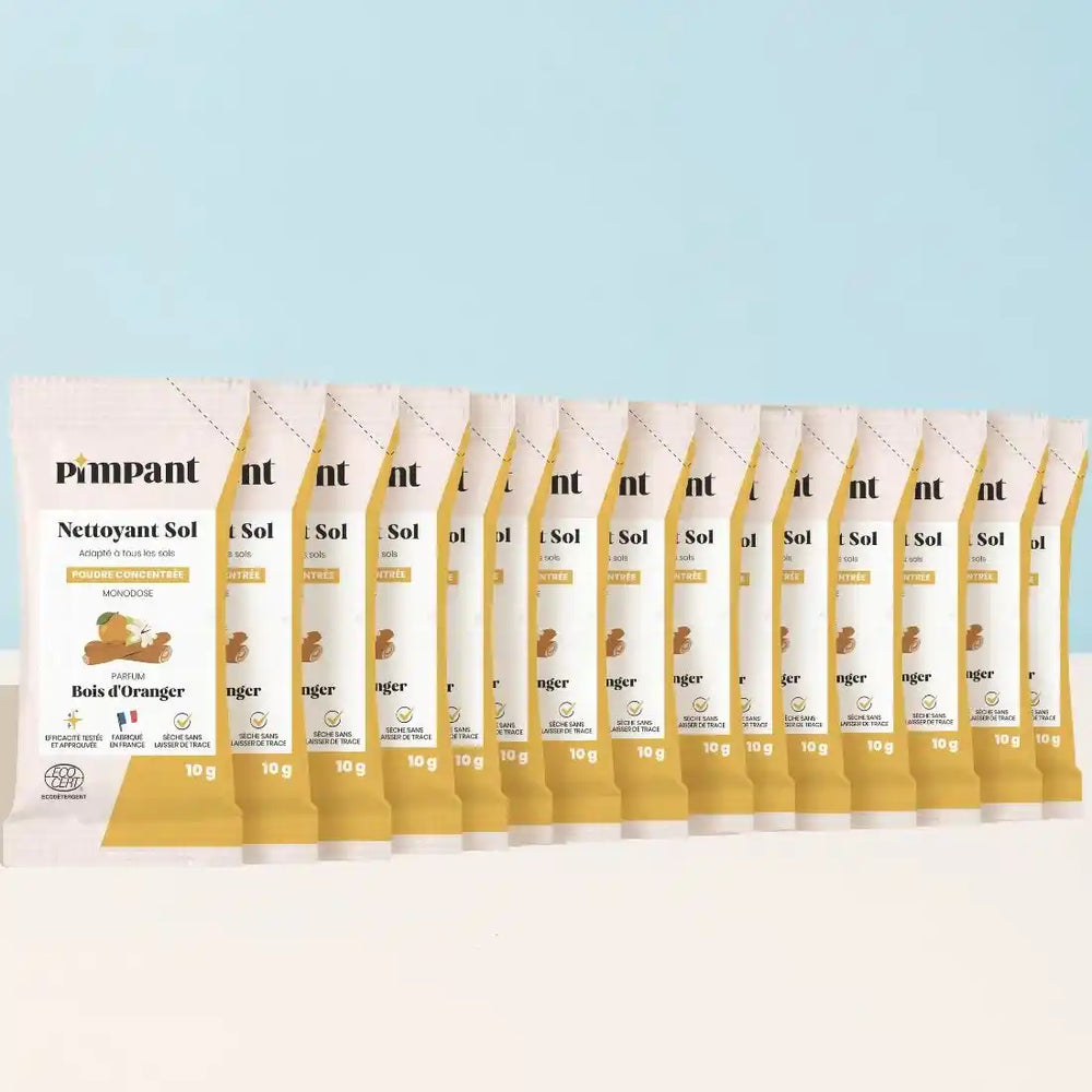 Nettoyant Sol (x15) SB