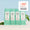 Recharges Shampoing Purifiant (x4)