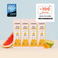 Recharges Liquide Vaisselle Agrumes (x4)