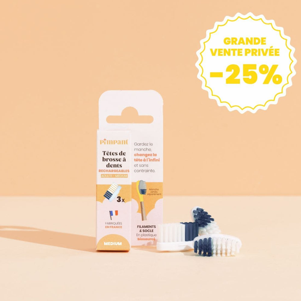 Têtes de Brosse à Dents (x3) (poils medium)