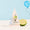 Recharge Spray Vitres