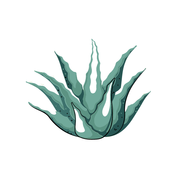 Image to render