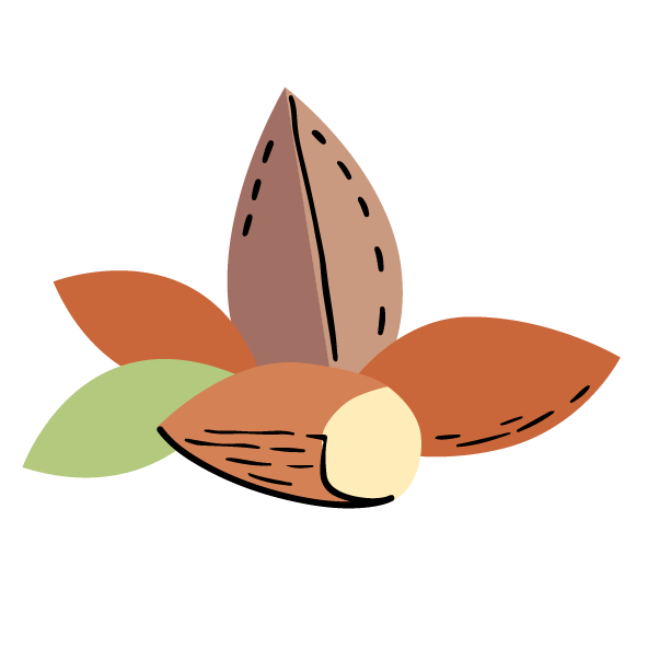 Image to render