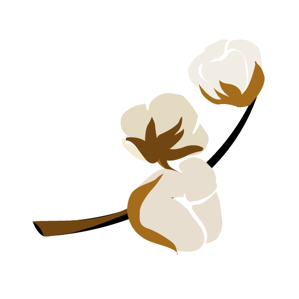 Image to render