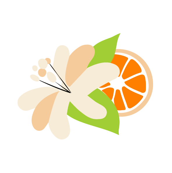 Image to render