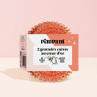 2 Grattoirs en Cuivre Offerts