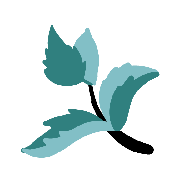 Image to render
