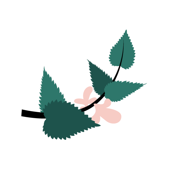 Image to render