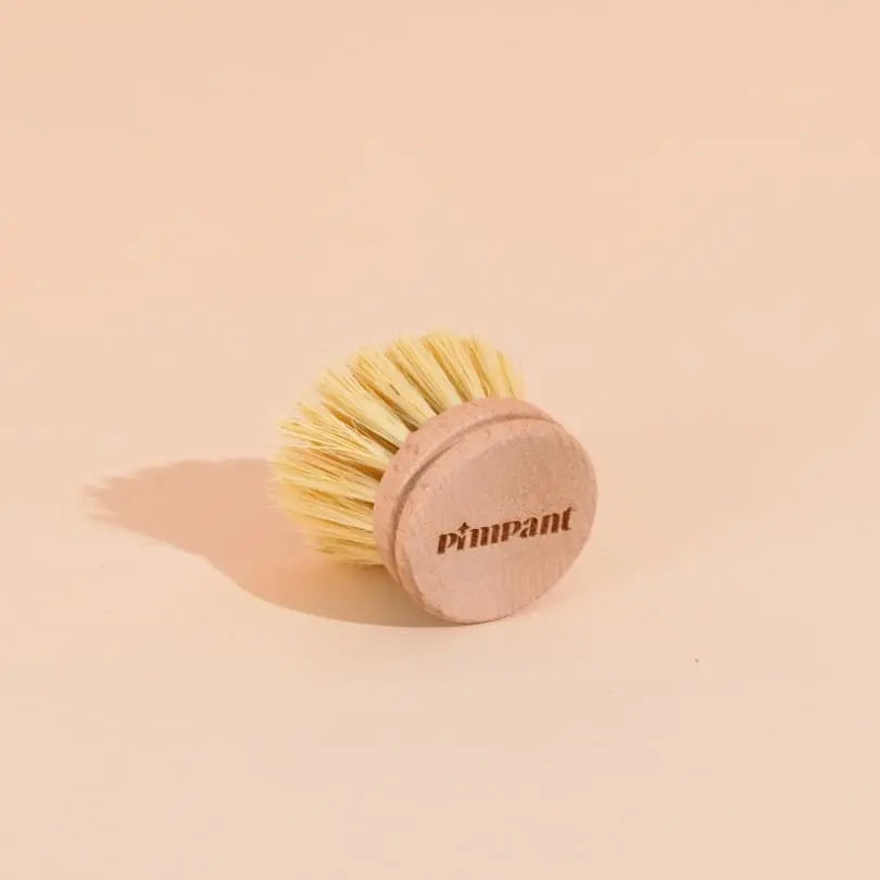 Tête de rechange pour brosse vaisselle Pimpant