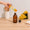 Pack Liquide Vaisselle Mangue Yuzu