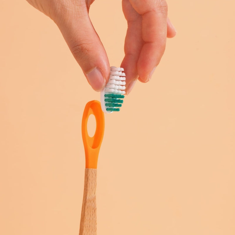 Recharge tête brosse à dents Pimpant rechargeable