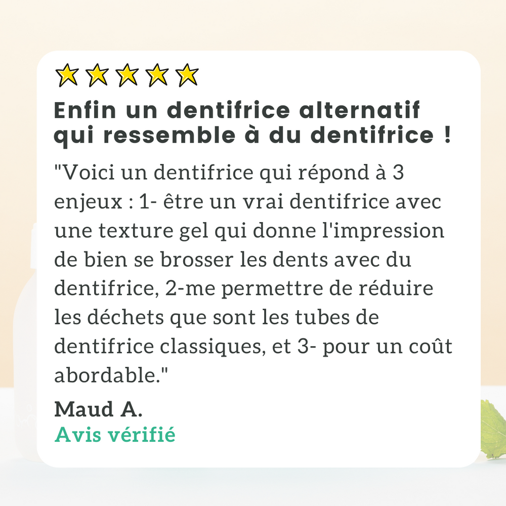Pack Dentifrice Menthe